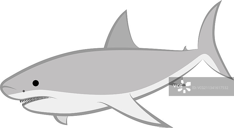 鲨鱼图片素材