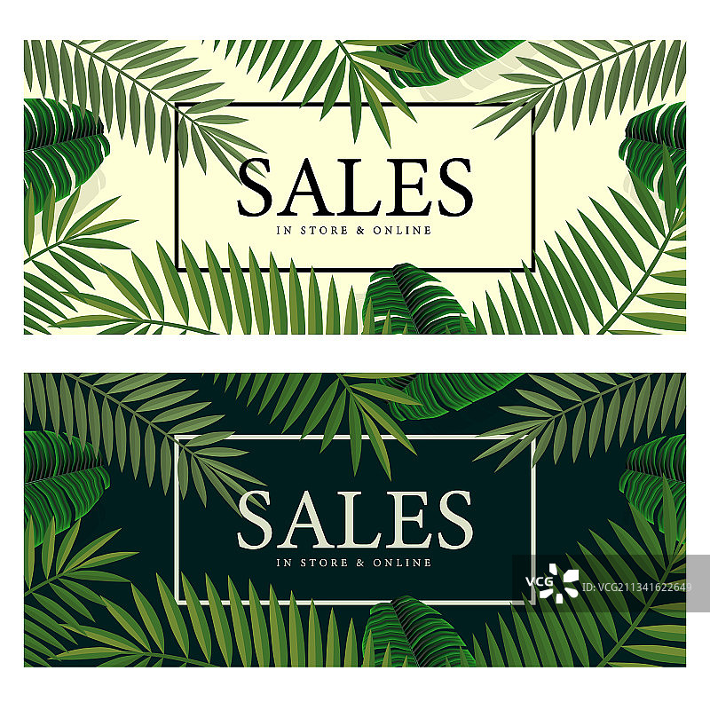 夏季促销banner，棕榈背景图片素材