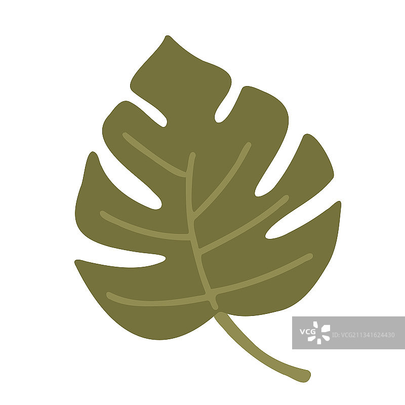 手绘绿植叶图片素材