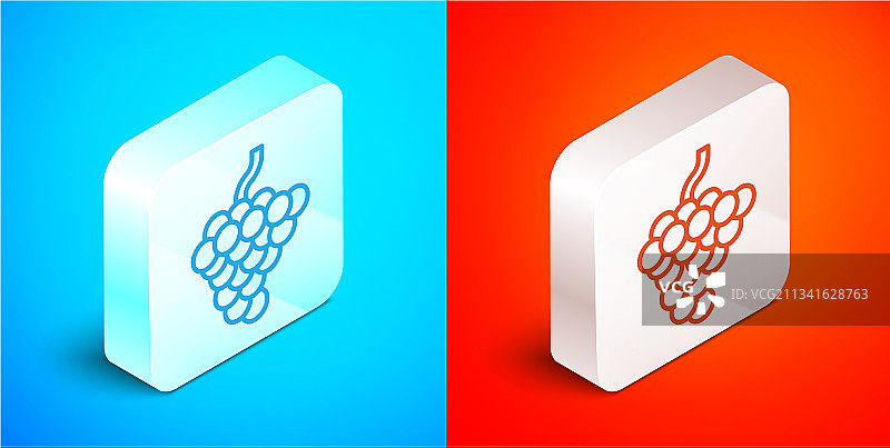 2.5D葡萄柚线条图标（蓝色背景）图片素材