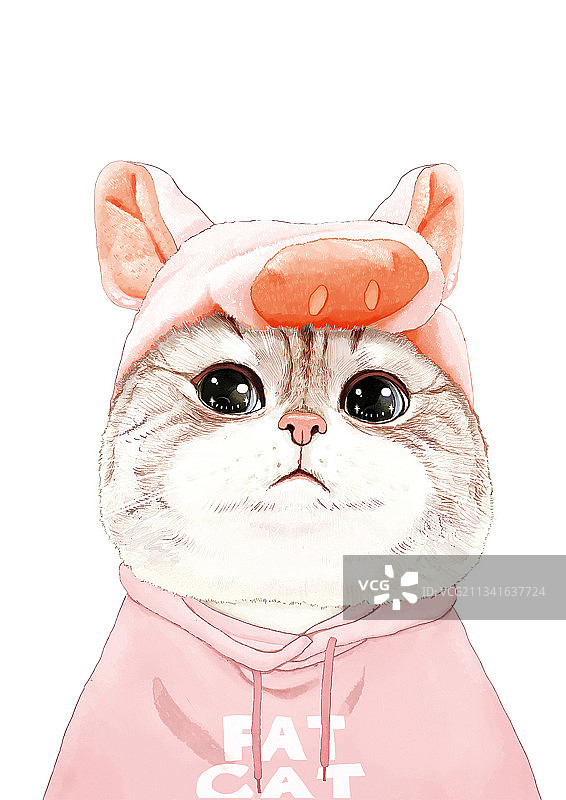 可爱猫图片素材