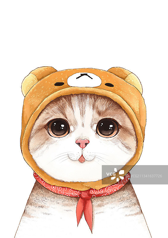 可爱猫图片素材