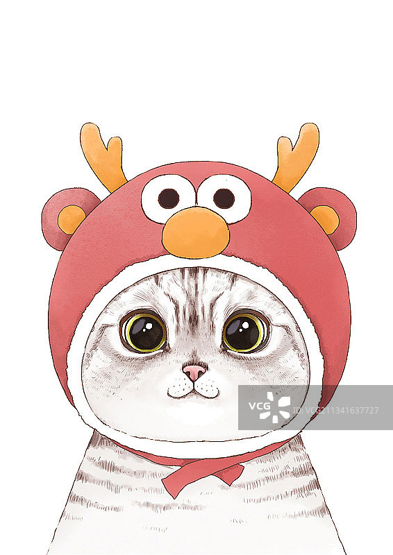 可爱猫图片素材