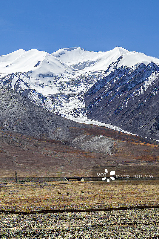 昆仑山脉玉珠峰图片素材