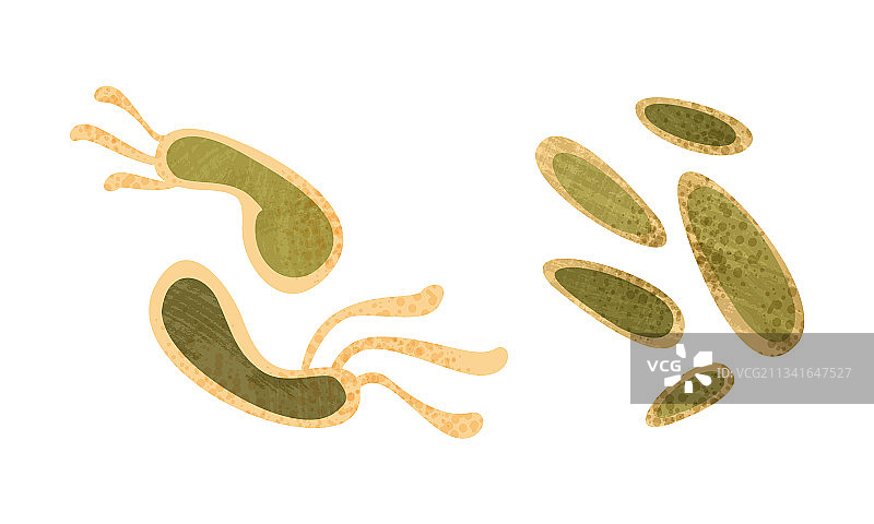 引起疾病的细菌集合图片素材