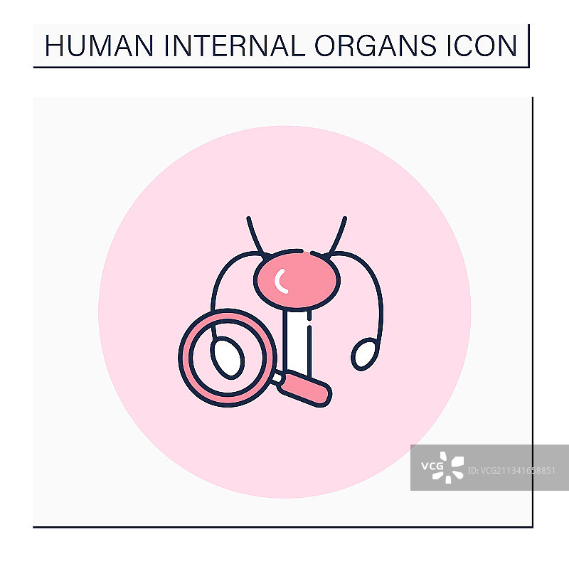 生殖系统彩色图标图片素材