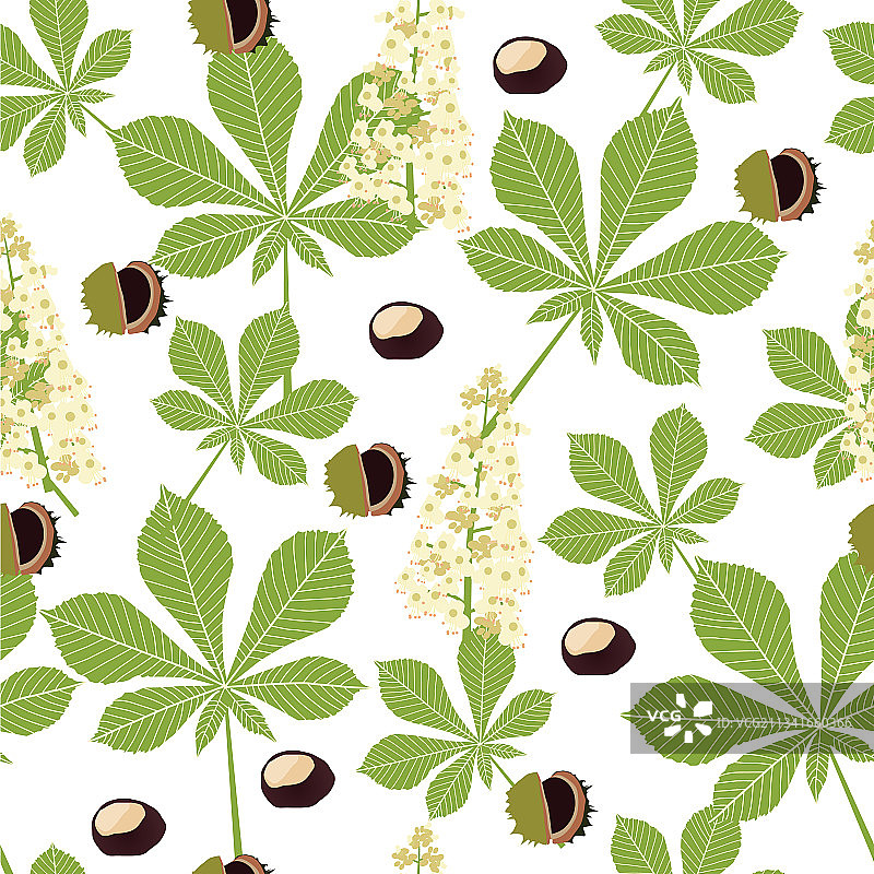 栗子植物图片素材