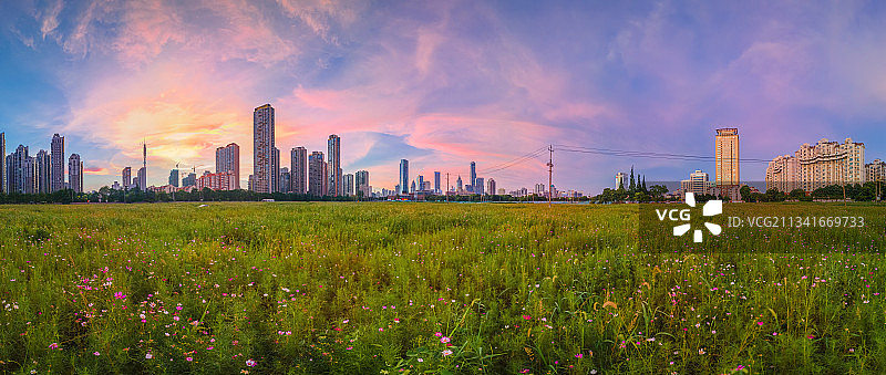 无锡草坪市中心图片素材