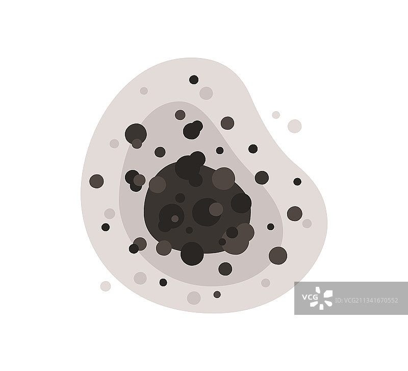 有毒霉菌孢子和真菌形成的黑色霉斑图片素材