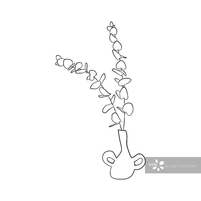 花瓶里的热带桉树黑白线条艺术图片素材