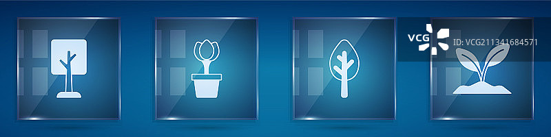 盆栽森林花郁金香和豆芽图片素材