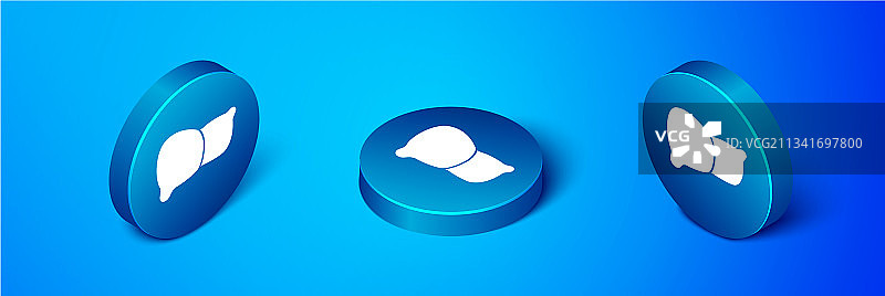 2.5D人体器官肝脏图标，蓝色背景图片素材