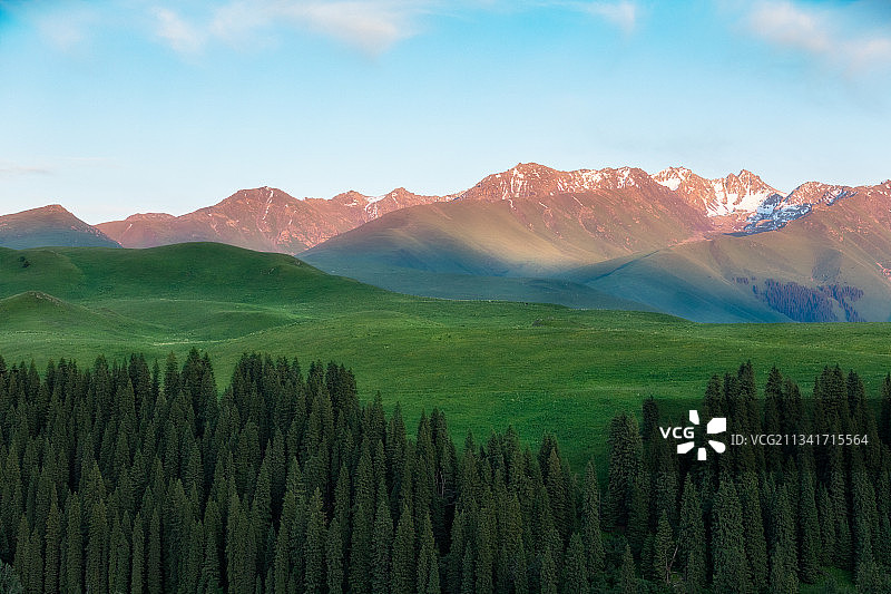 大草原-唐布拉百里画廊草原图片素材