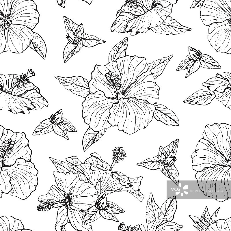 单色芙蓉线性艺术无缝图案图片素材