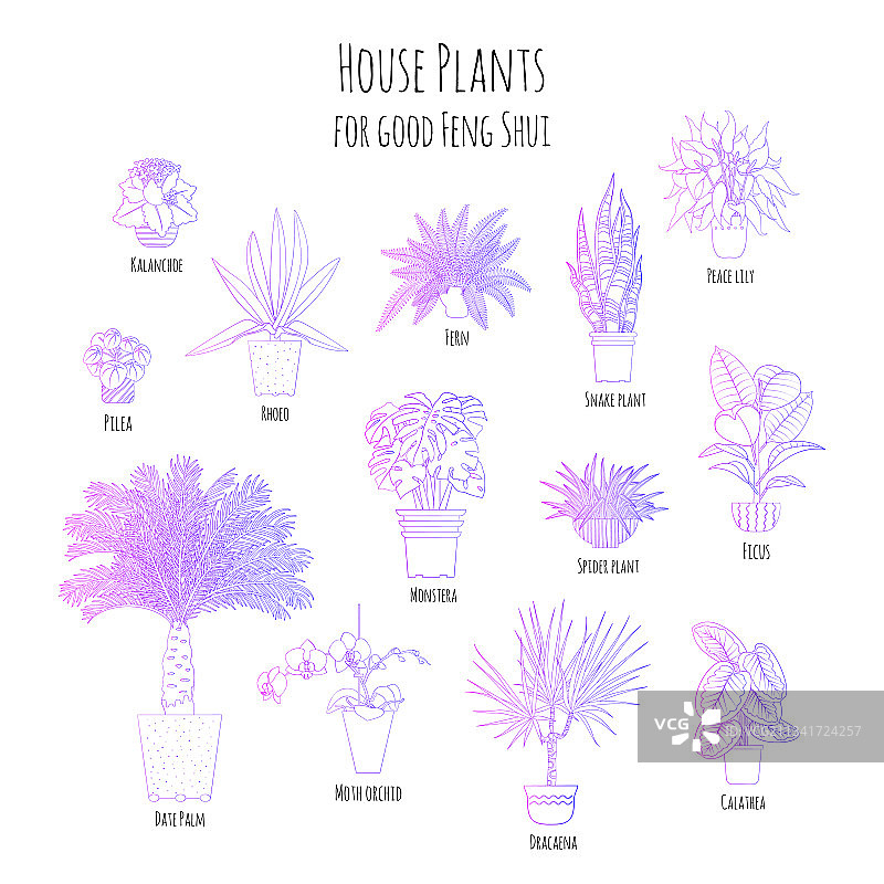 紫色渐变盆栽植物套装图片素材