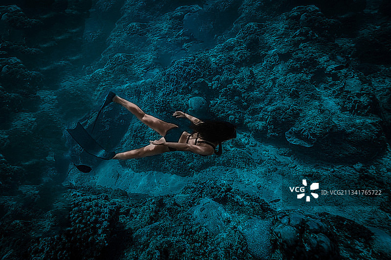 自由潜图片素材