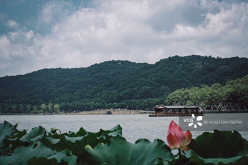 荷花陪衬的断桥残雪图片素材