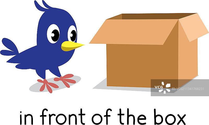 介词位置：鸟在盒子前面图片素材