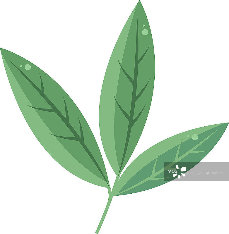 树叶植被图片素材