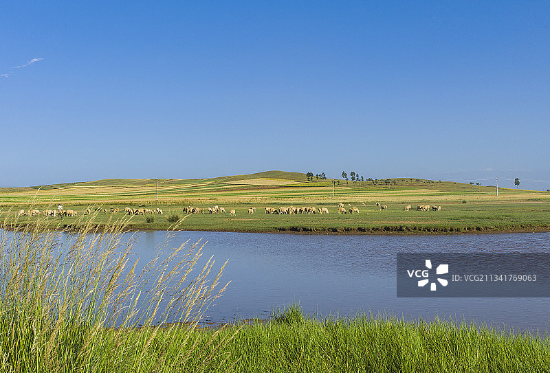 2013年8月18日内蒙古包头市达尔罕茂明安联合旗希拉姆仁召河图片素材