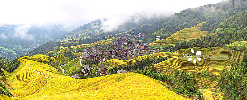 广西桂林龙脊梯田金秋稻田风光图片素材