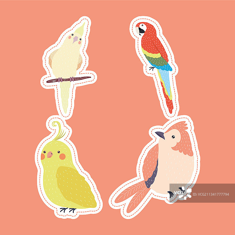 四种鸟类图片素材