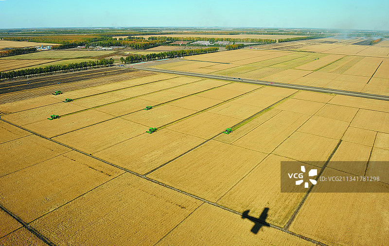 《情系黑土地》航拍大型农业小麦联合收割作业图片素材