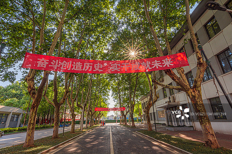 南京信息工程大学中苑梧桐树大道图片素材