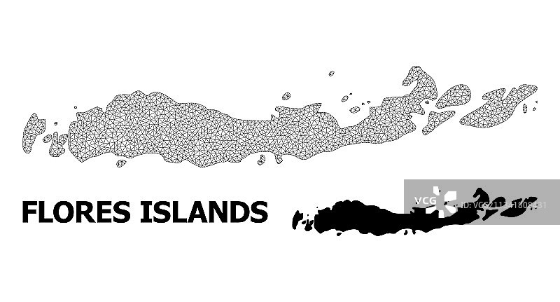 高精度多边形骨架网格地图图片素材