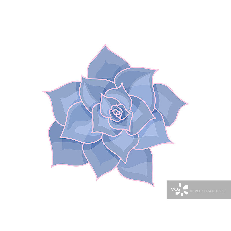 扁平风格手绘可爱紫色多肉植物图片素材