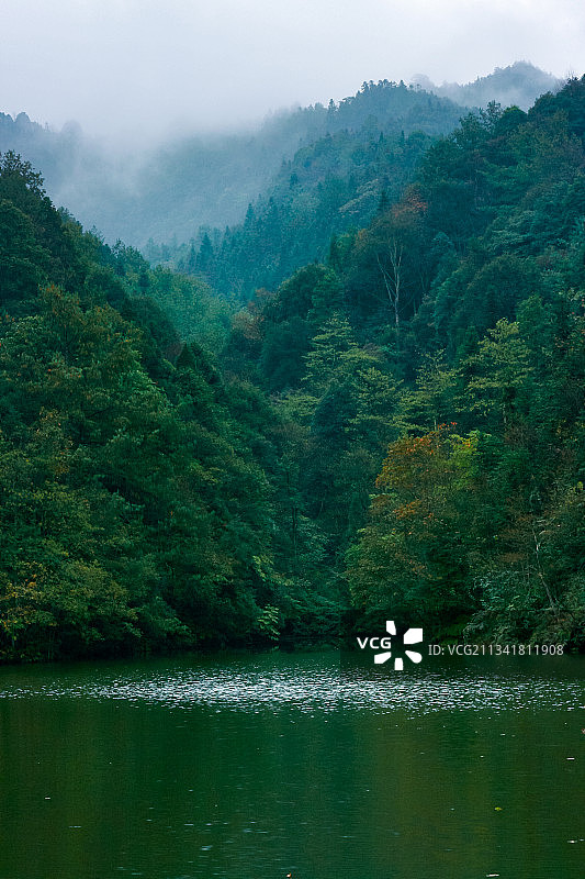 重庆江津四面山原始森林图片素材