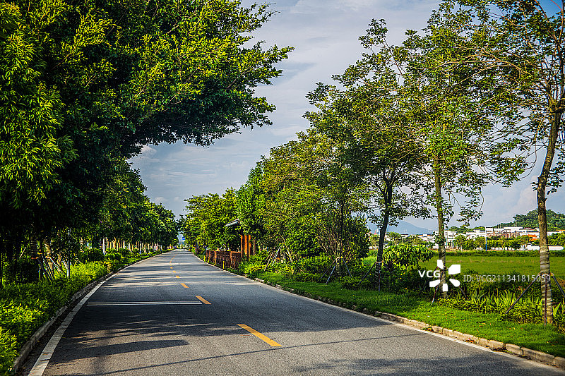 广东省汕尾市海丰县新山村道路图片图片素材