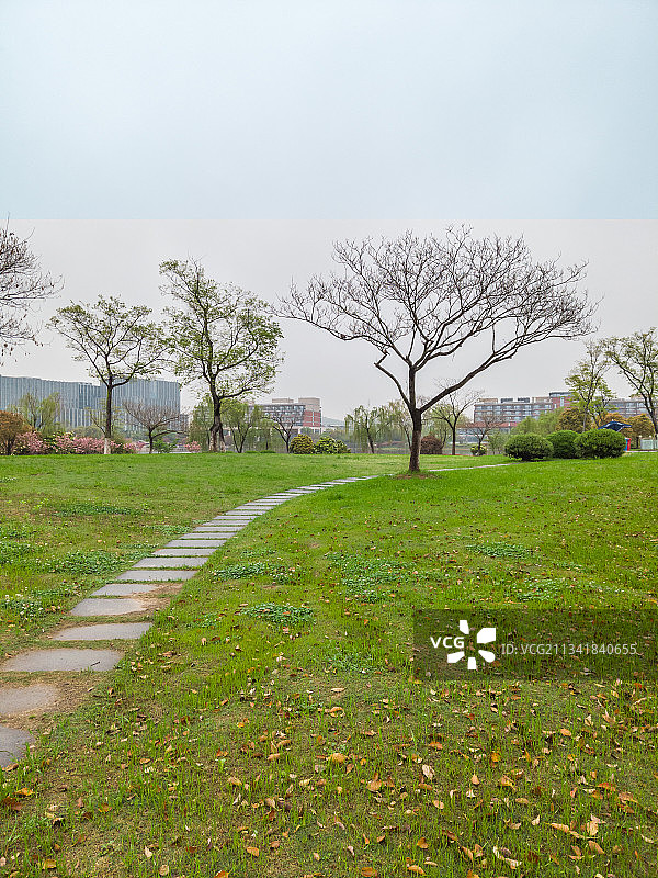 绿地上的树图片素材
