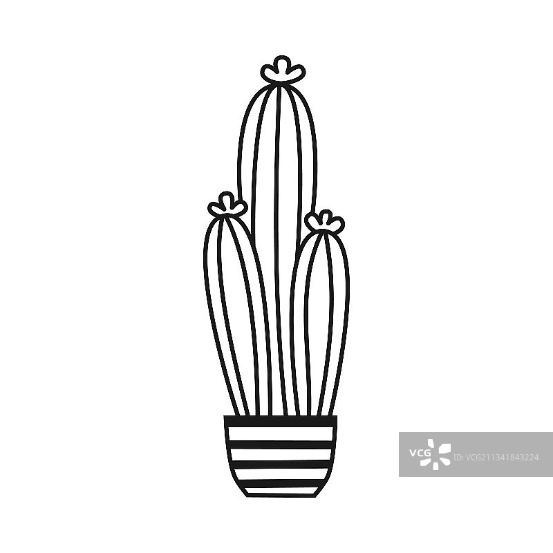 盆栽仙人掌轮廓简笔画图片素材