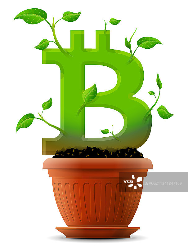 花盆中像植物一样生长的比特币符号图片素材