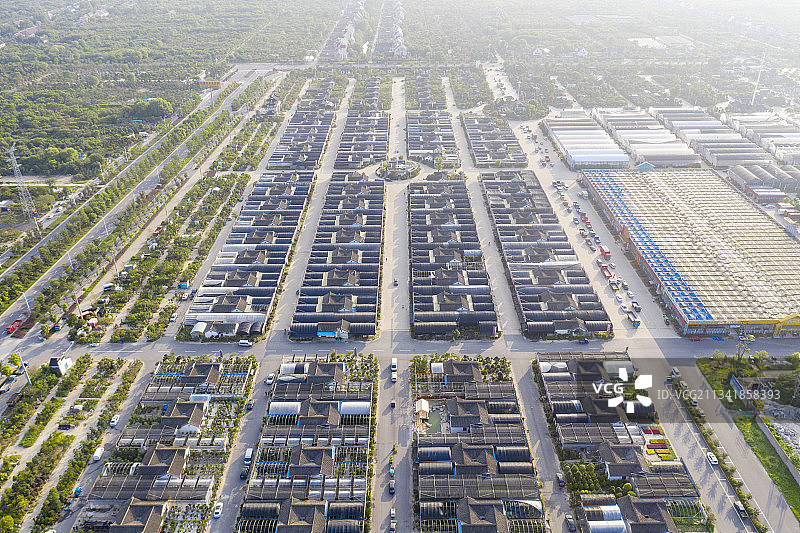 江苏如皋花木大世界图片素材