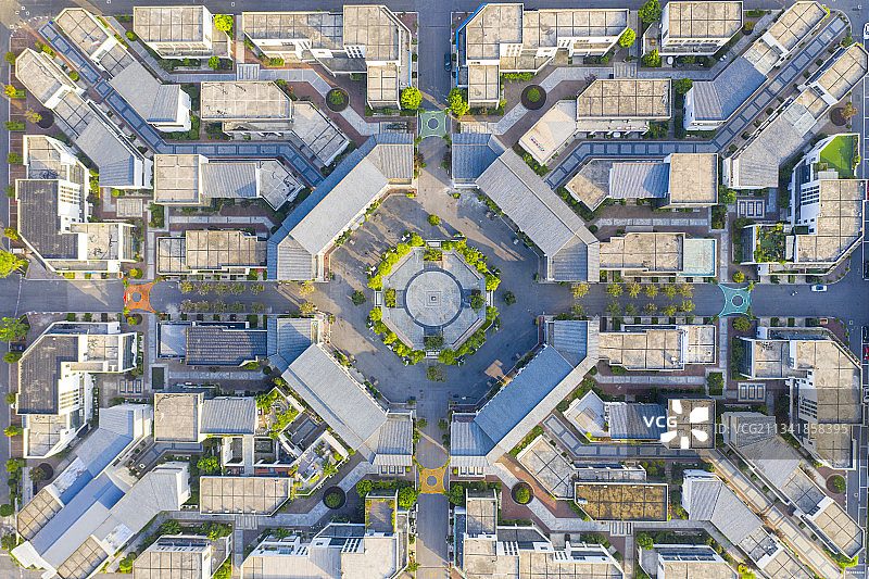 江苏如皋花木大世界图片素材