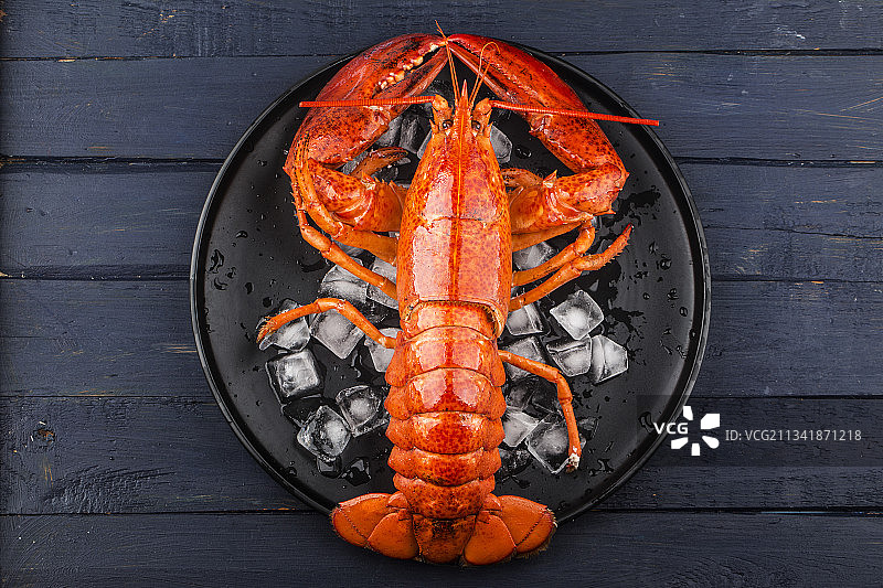 波士顿龙虾图片素材