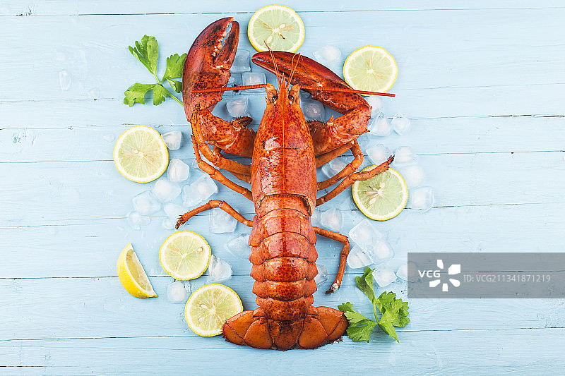 波士顿龙虾图片素材