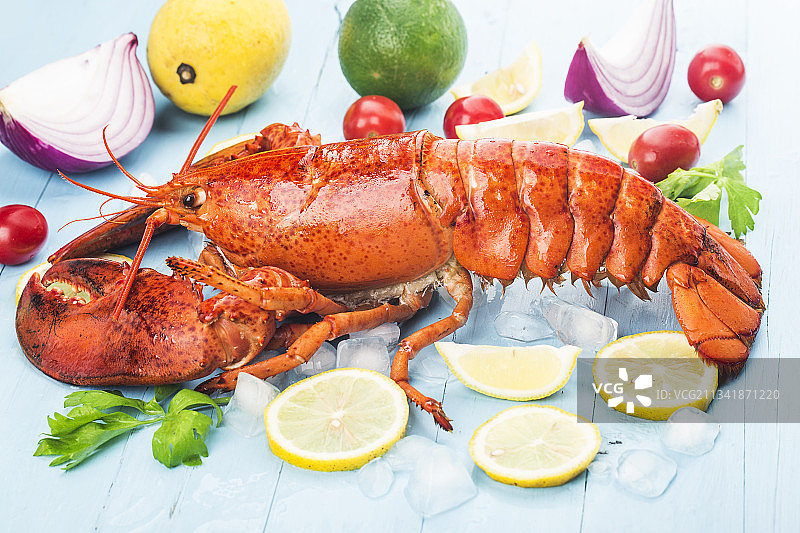 波士顿龙虾图片素材