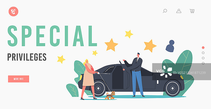 VIP特权着陆页模板图片素材