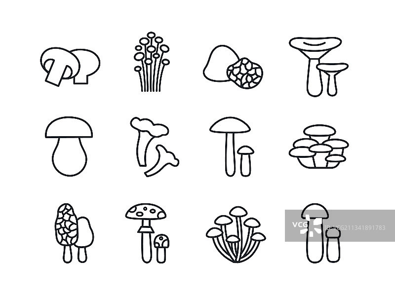 蘑菇图标线性轮廓合集图片素材