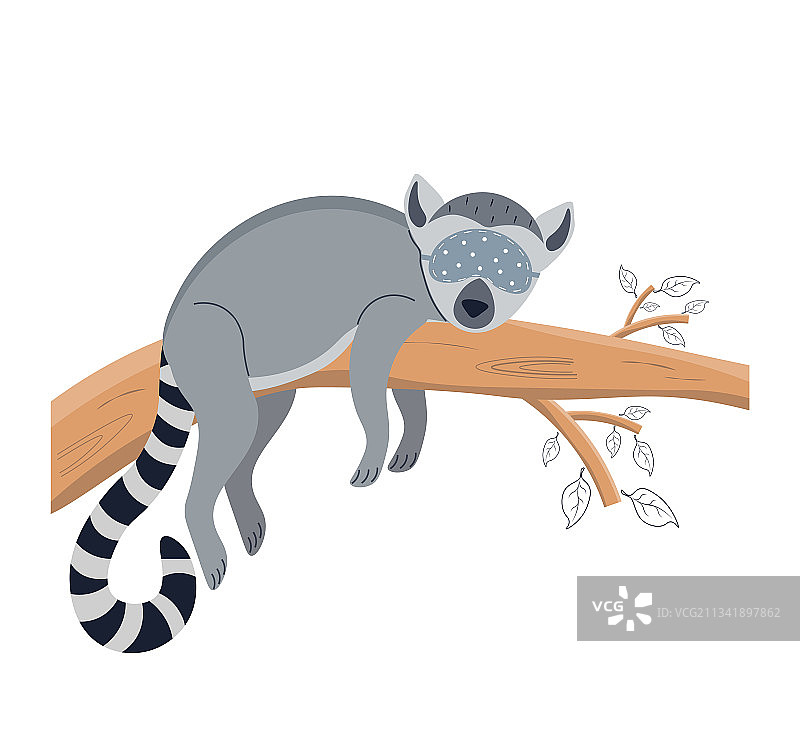 戴眼罩在树上睡觉的狐猴图片素材