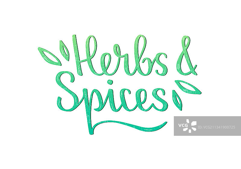 草本和香料绿色渐变字母图片素材