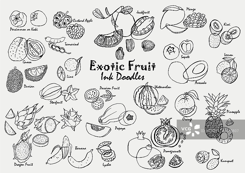 异域水果墨水手绘涂鸦图标合集图片素材