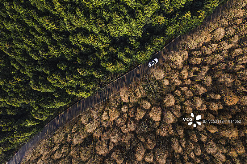 航拍森林图片素材