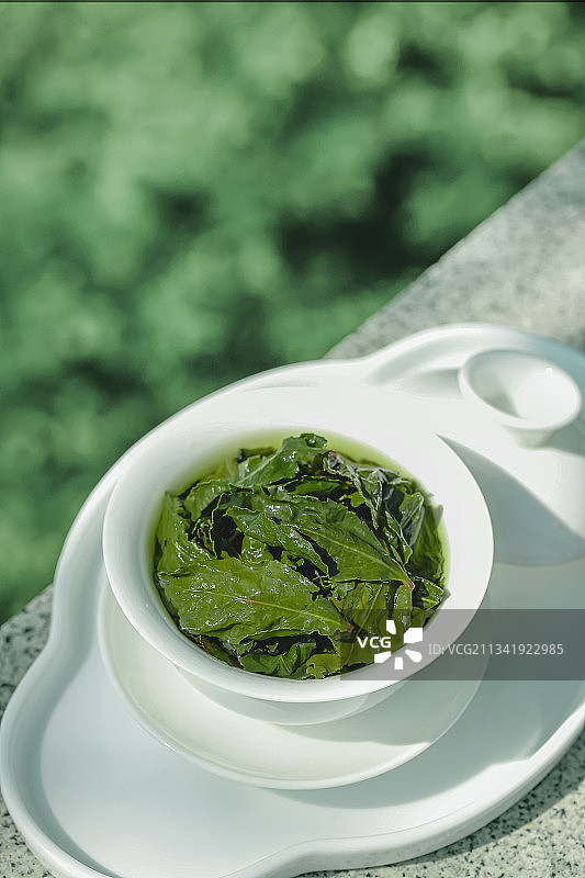 安溪铁观音图片素材