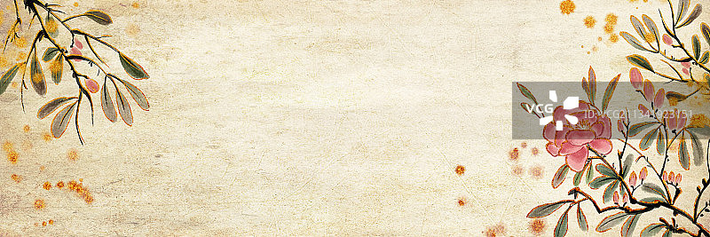 中国风金色边水墨传统华丽装饰奢靡风背景插图花叶子图片素材
