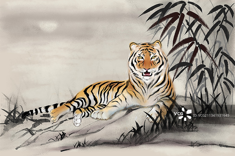 福虎生风图片素材