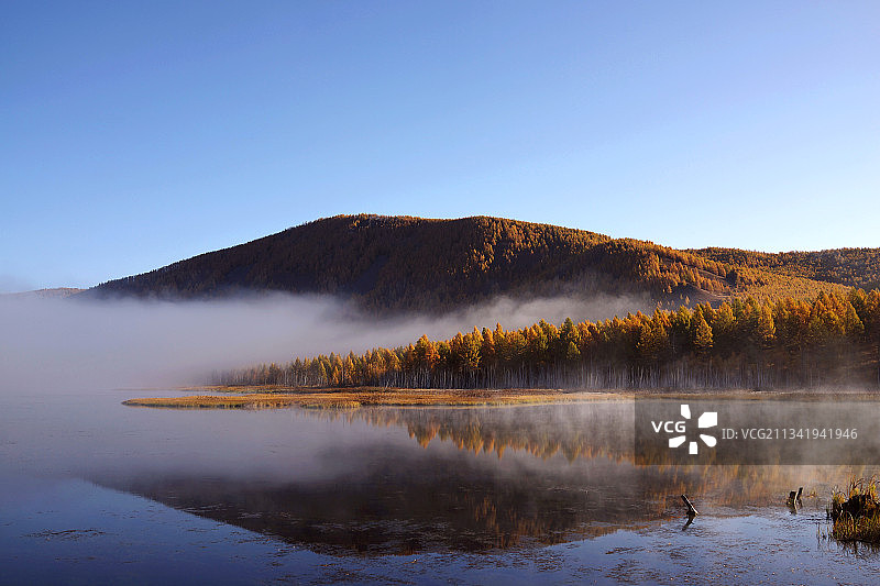 阿尔山的清晨图片素材